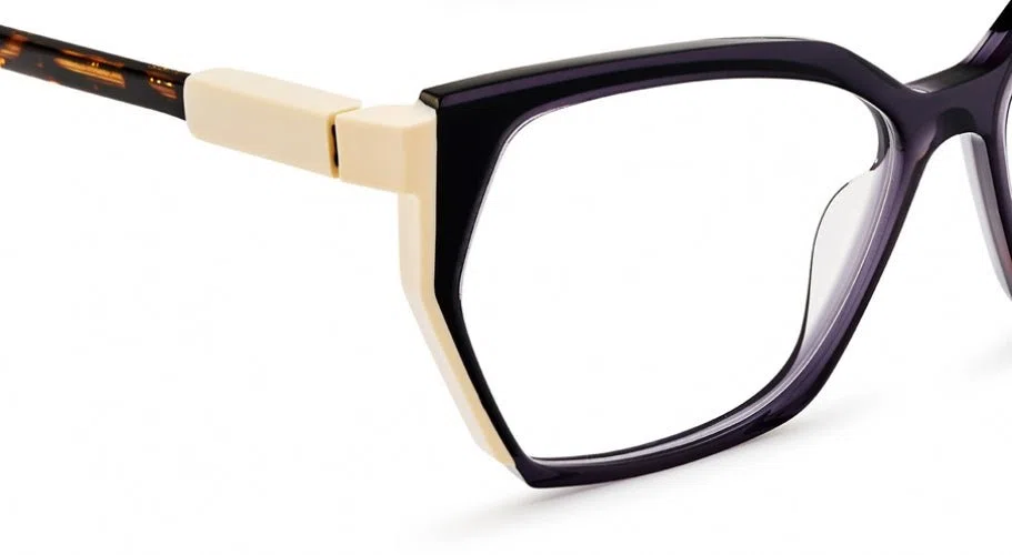 Etnia Barcelona BRAGANZA Eyeglasses - view 10